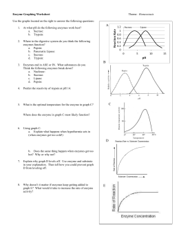 studylib.net  Essys, homework help, flashcards, research papers, book report and other