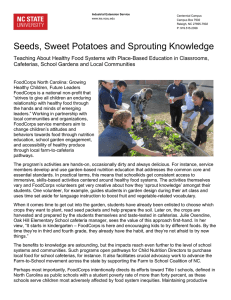 Seeds, Sweet Potatoes and Sprouting Knowledge