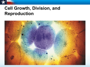 Cell Growth, Division, and Reproduction