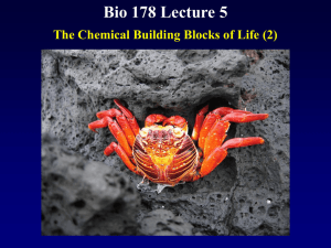 Biol 178 Lecture 5