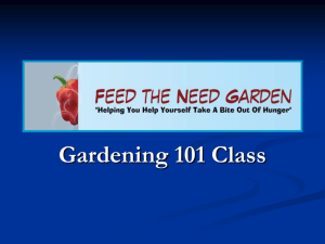 Slide 1 - Feed The Need Garden