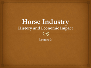 Lecture 3 Horse Industry
