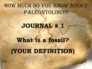Geology: Paleontology & Geologic Time