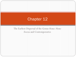 Chapter 9 Homo erectus and Contemporaries