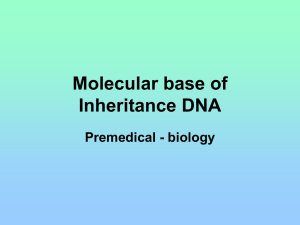 Molecular base of Inheritance DNA Premedical