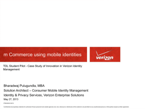 Verizon Enterprise Solutions