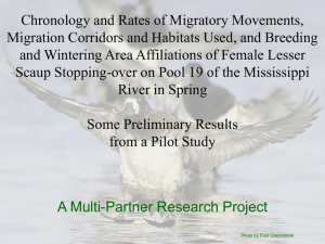 Scaup Satellite Study - Upper Mississippi River Conservation