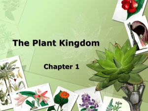 The Plant Kingdom