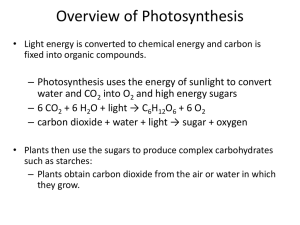 Chapter 9 Photosynthesis