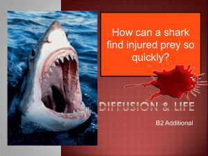 REAL LIFE diffusion examples powerpoint