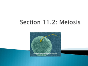 Section 11.2: Meiosis