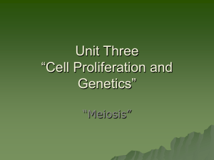 Unit Three “Cell Proliferation and Genetics”