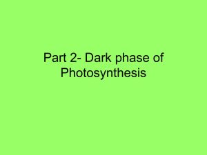 Part 2- Dark phase of Photosynthesis