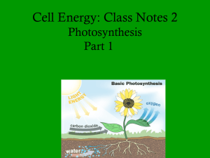 Class Notes #2 Photosynthesis