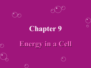 Chapter 9 - BickfordBiology