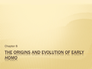 The Origins and Evolution of early Homo