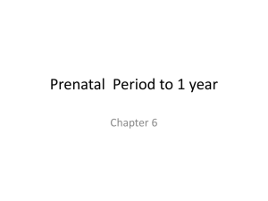 Prenatal Period to 1 year