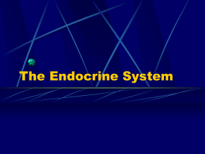 Endokrin Sistem - mustafaaltinisik.org.uk
