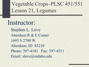 Veg Crops-Lesson 21 Pea, Bean