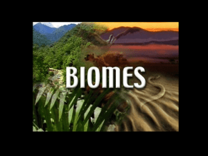 Biomes {PowerPoint}