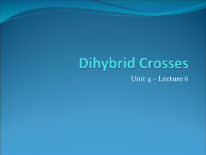 Dihybrid Crosses - Fulton County Schools