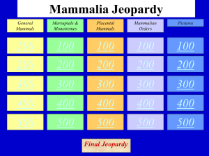 Mammalia Jeopardy - Jutzi