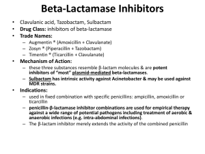 FY BT Beta-Lactamase Inhibitors