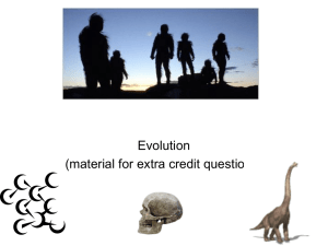 Early Primate evolution Evolution of the Genus Australopithecines