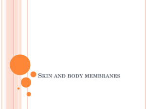 Skin and body membranes - Doral Academy Preparatory