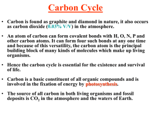 Carbon Cycle