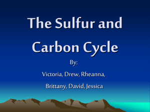 The Sulfur and Carbon Cycle