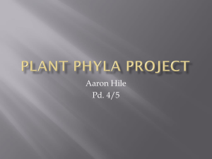 1321411992hile phyla project