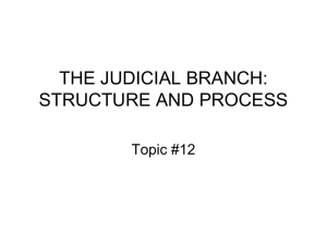 the judicial branch: structure and process
