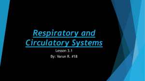 Respiratory and Circulatory Systems by Varun
