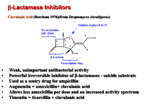 b-Lactamase Inhibitors Clavulanic acid