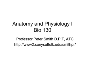 Anatomy and Physiology I BY 30