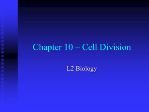 Chapter 5 – Cell Division