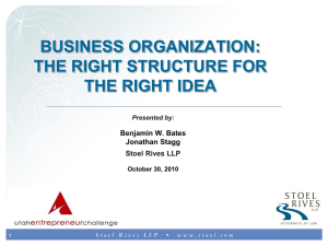 Business organization presentation