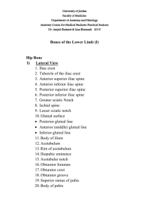 Checklist 1- Bones of the lower limb - Medicine Batch 2013