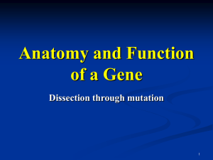 Mutations