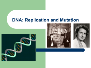 DNA: Replication and Mutation