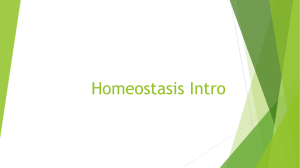 Homeostasis Intro