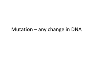 Mutation * any change in DNA
