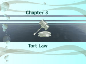 Chapter 3 Tort Law The Nature of Tort Law