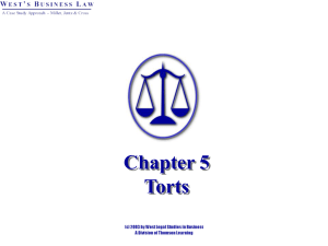 Chapter 5: Torts