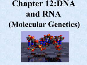 Chapter 12: DNA and RNA