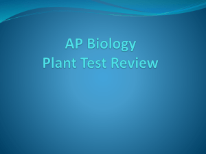 AP Biology Plant Test Review