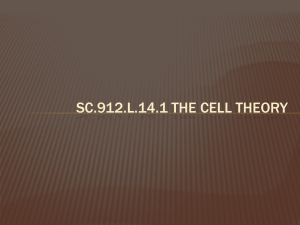 SC.912.L.14.1 Cell Theory