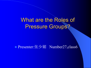 What is the Roles of Pressure Groups?