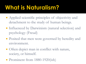 Naturalism in Huck Finn and Internal Conflict